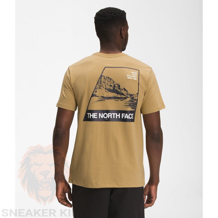 Футболка The North face mountain logo t-shirt